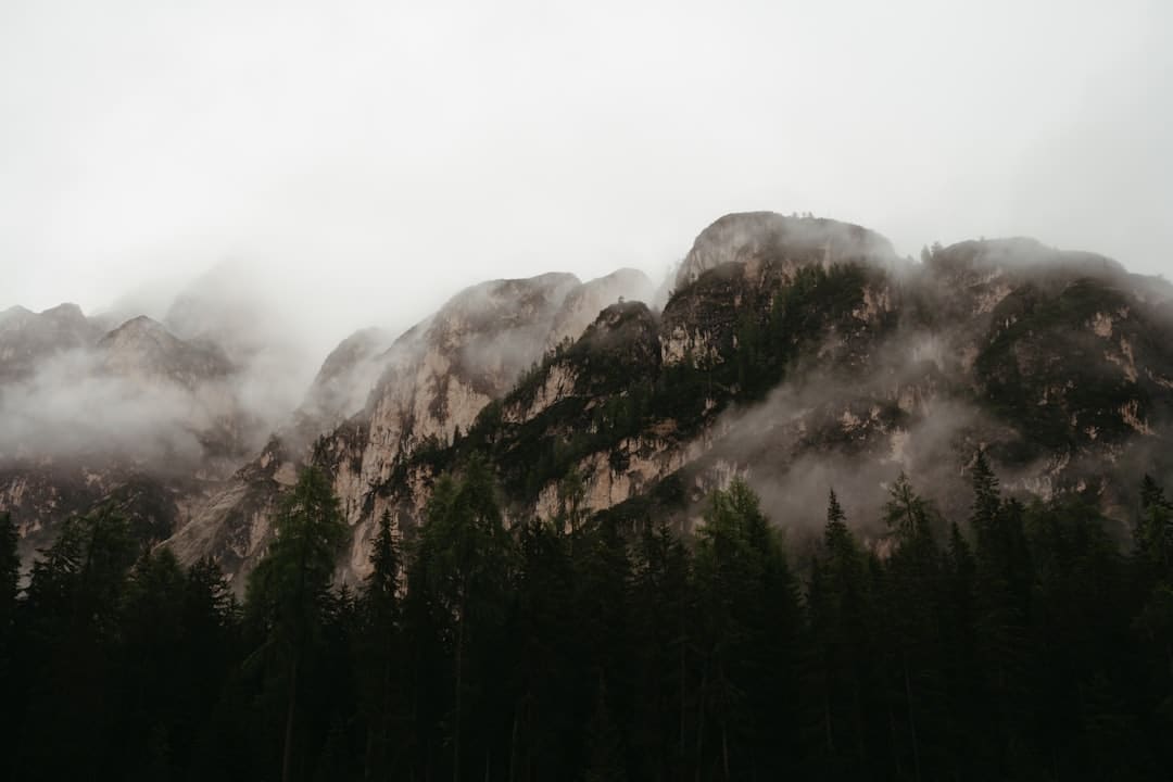 https://static.ws.126.net/163/frontend/images/2022/empty.png